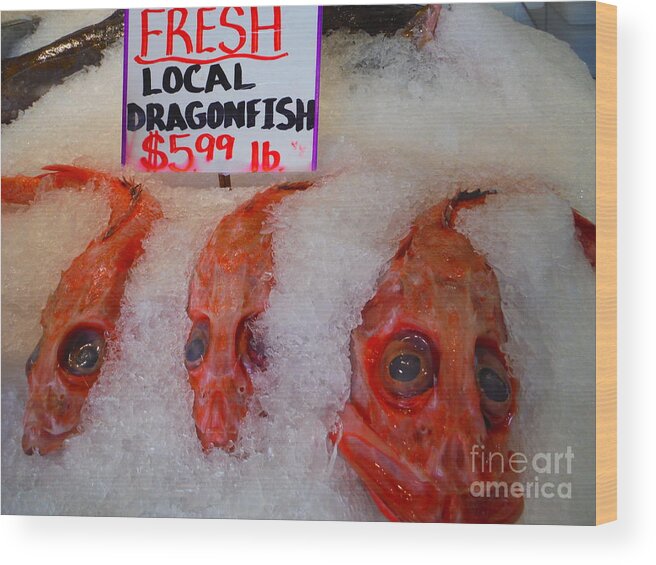 Dragonfish Wood Print featuring the photograph Local Seattle Dragonfish by Paddy Shaffer