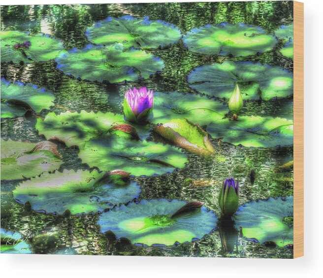 Water Lily Wood Print featuring the digital art Lone Lily by Kathleen Illes