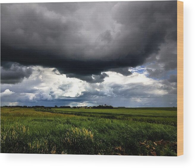     Wheat Photographs Wood Print featuring the photograph Low Cloud by David Matthews