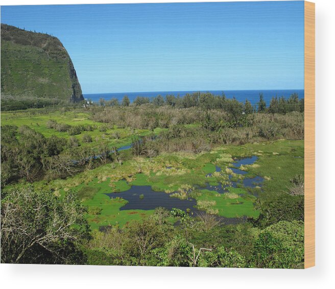 big Island Wood Print featuring the photograph Lush Waipio Valley on the Big Island Hawaii by Brendan Reals