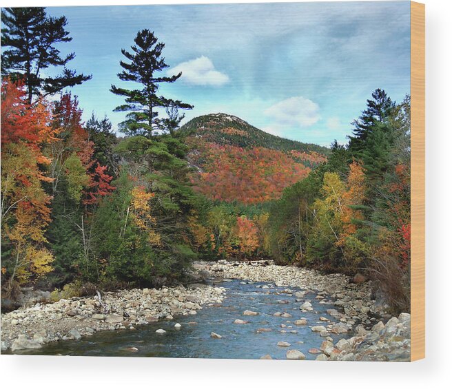 Autumn Wood Print featuring the photograph Mad River by Welch and Dickey by Nancy Griswold