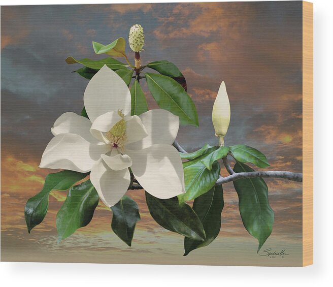 Flower Wood Print featuring the digital art Magnolia Sunset by M Spadecaller