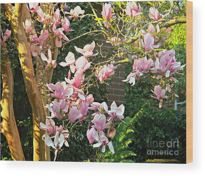 Magnolia Wood Print featuring the photograph Magnolias And Sunshine by Leanne Seymour