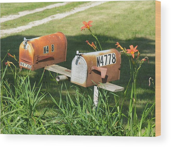 Mailboxes Wood Print featuring the photograph Mail Boxes by Diane Lesser