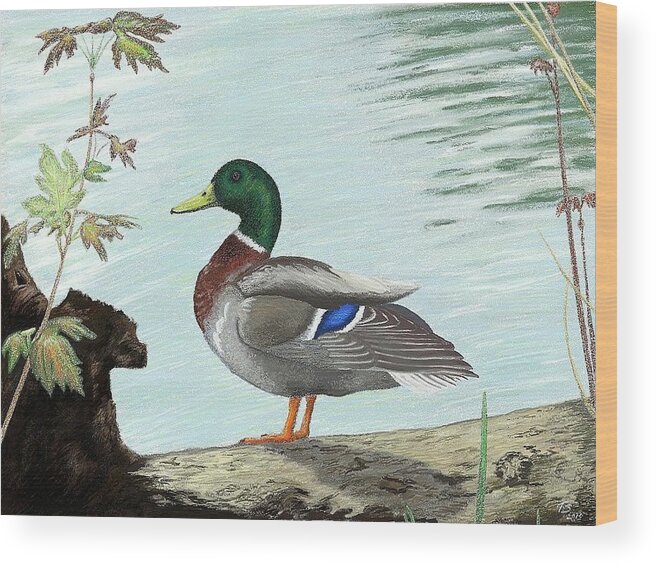 Duck Wood Print featuring the digital art Mallard 2010 by Troy Stapek