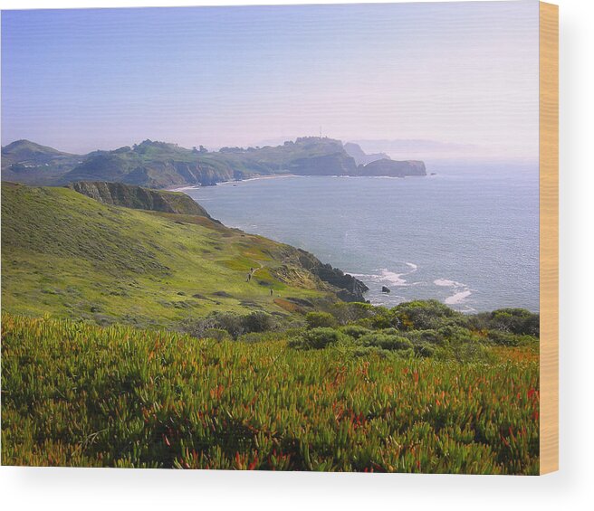 Landscape Wood Print featuring the photograph Marin Headlands 2 by Karen W Meyer