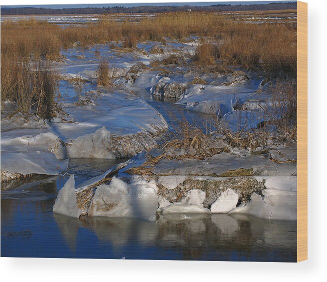 Marsh Wood Print featuring the photograph Marsh Channels on Plum Island by Juergen Roth
