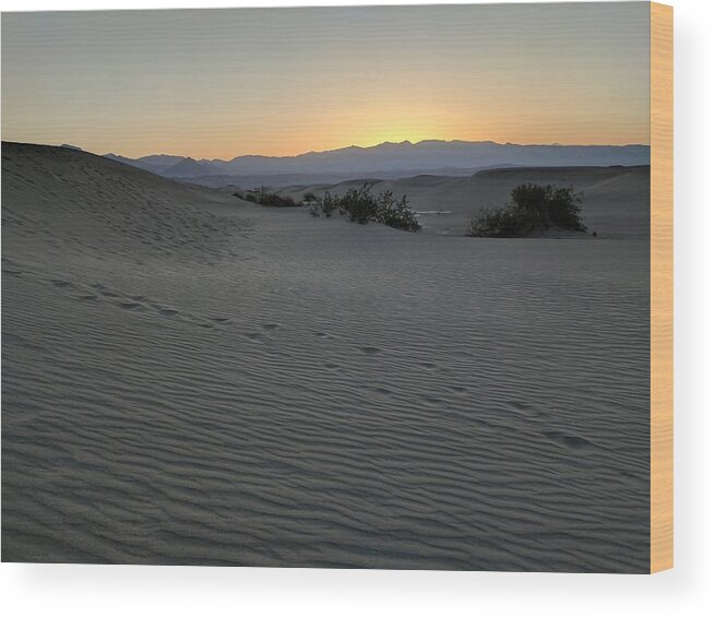 Mesquite Sand Dunes Wood Print featuring the photograph Mesquite Sand Dunes Sunrise by William Slider