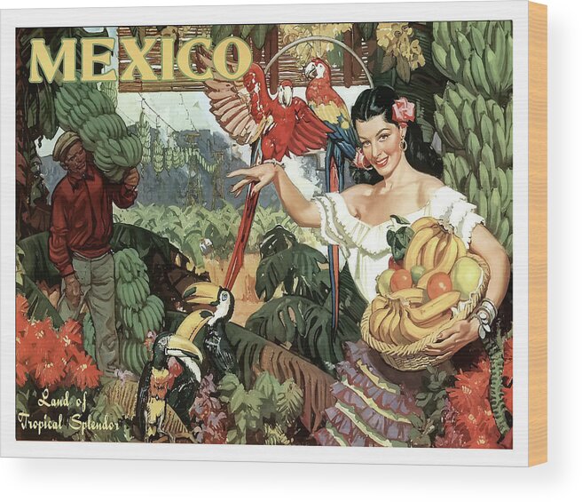 Mexico Wood Print featuring the painting Mexico, woman with bananas by Long Shot