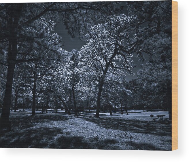 Infrared Wood Print featuring the photograph Midnight Blues by Linda Unger