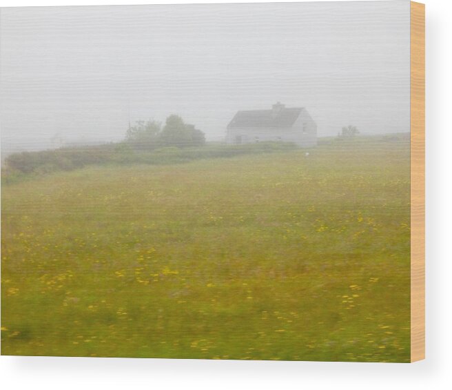 Countryside Wood Print featuring the photograph Misty ireland morning by Sue Morris