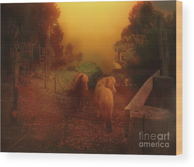 Animals Wood Print featuring the photograph Misty Sundown by Elaine Teague