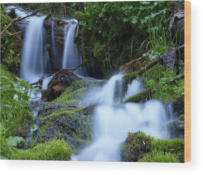 Water Wood Print featuring the photograph Misty Waters by DeeLon Merritt