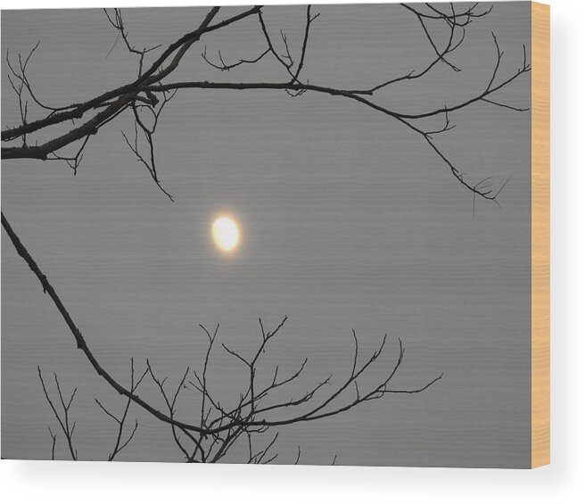 Moon Wood Print featuring the photograph Moon Embraced by Jan Gelders