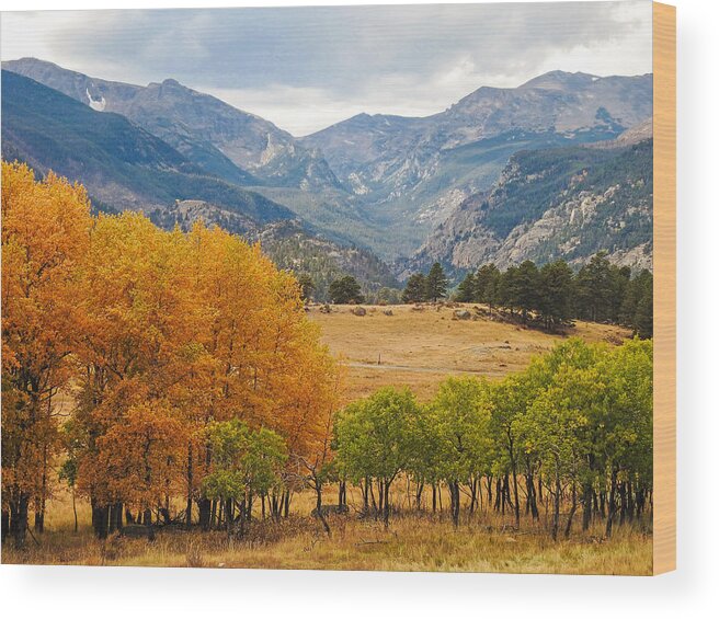 Colorado Wood Print featuring the photograph Moraine Park in Rocky Mountain National Park by Dawn Key