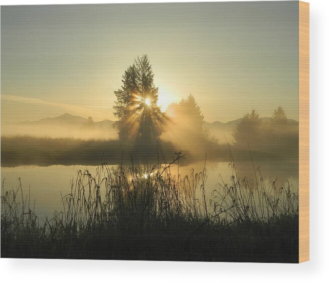 Sunrise Wood Print featuring the photograph Morning Bliss by Gallery Of Hope 