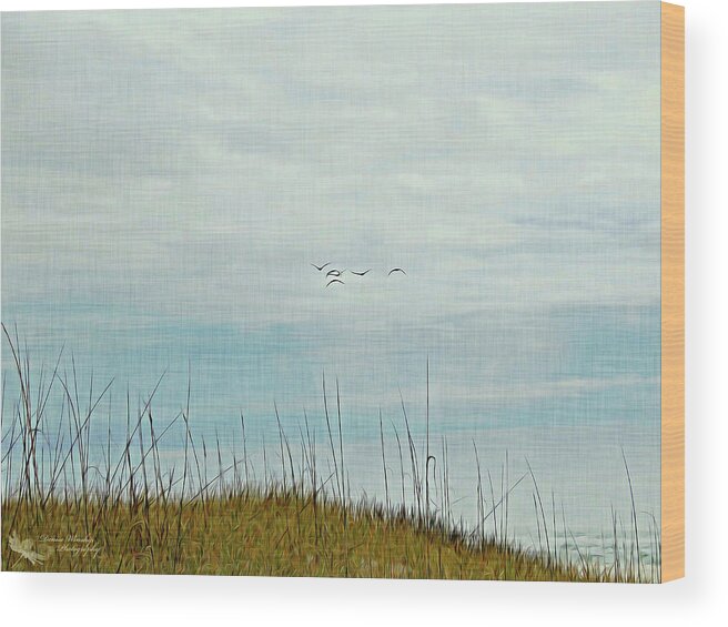 Morning Wood Print featuring the photograph Morning Calm by Denise Winship