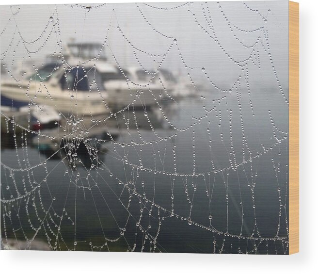 Foggy Wood Print featuring the photograph Morning Dew at the Marina by David T Wilkinson