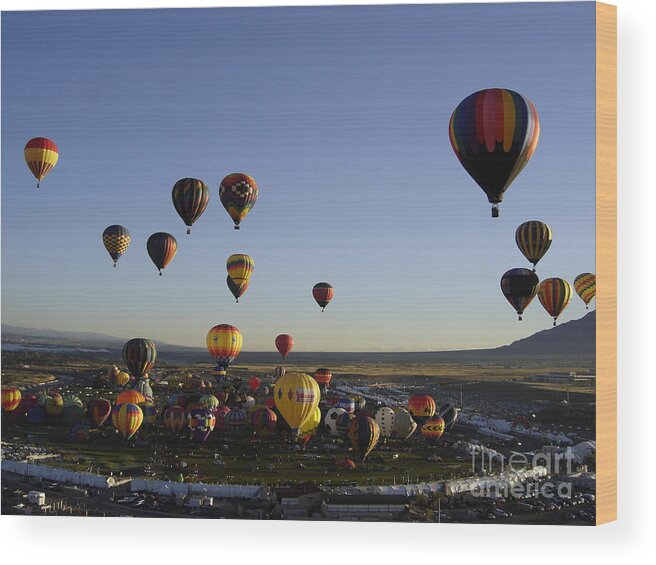 Hot Air Balloons Wood Print featuring the photograph Morning Liftoff by Mary Rogers