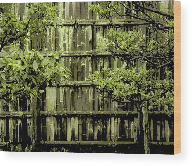 Moss Wood Print featuring the photograph Mossy Bamboo Fence - Digital Art by Carol Groenen