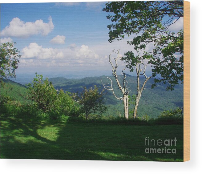 Mountains Wood Print featuring the photograph Mount Pisgah Vista by Allen Nice-Webb
