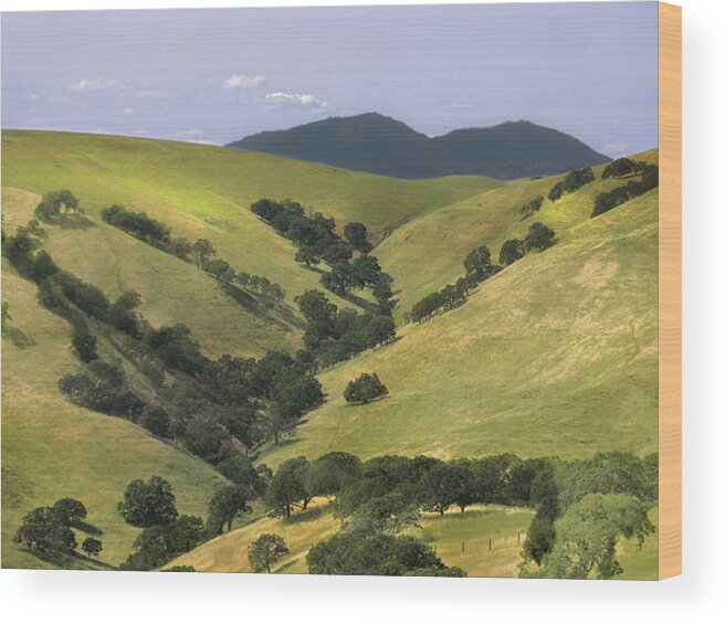 Landscapes Wood Print featuring the photograph Mt. Dibalo by Karen W Meyer