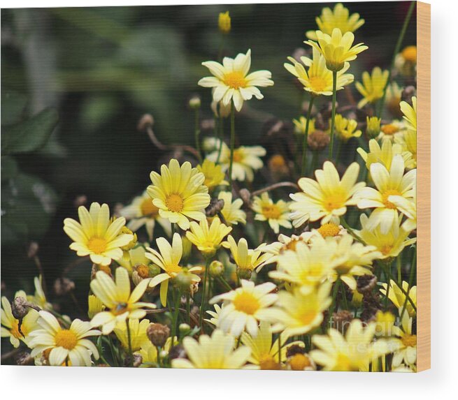 Yellow Wood Print featuring the photograph Nature's Beauty 19 by Deena Withycombe