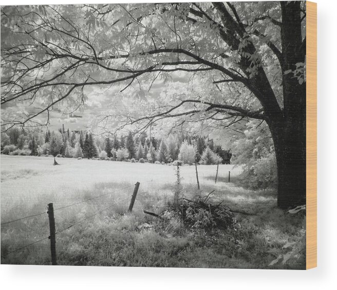 Infrared Wood Print featuring the photograph Natures Inner Soul by John Rivera
