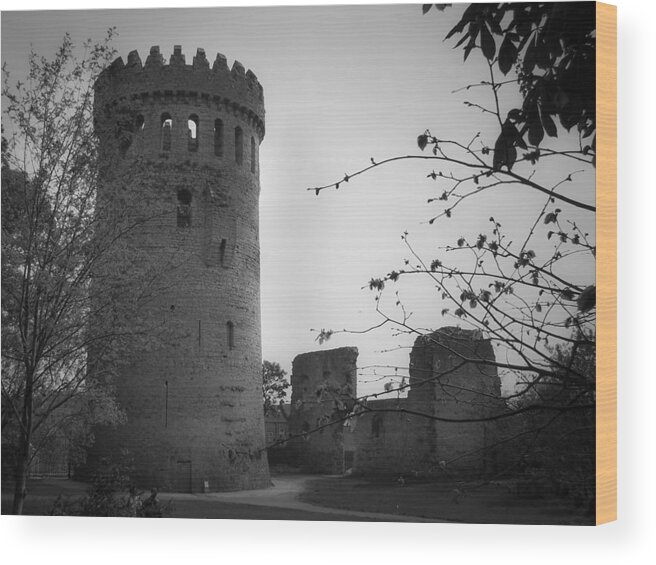 Ireland Wood Print featuring the photograph Nenagh Castle County Tipperary Ireland by Teresa Mucha