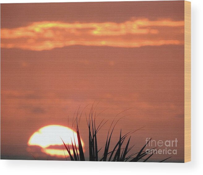 Sunrise Wood Print featuring the photograph New Day At Sea by Jan Gelders