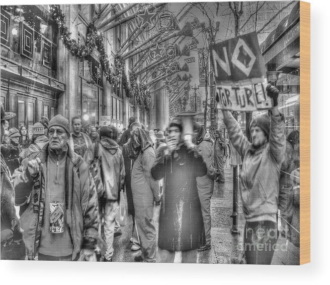 Chicago Illinois Wood Print featuring the photograph No torture by David Bearden