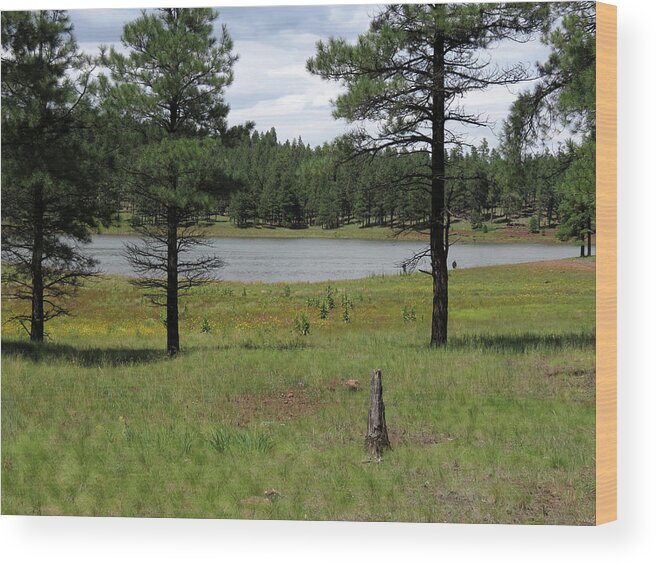 Lake Wood Print featuring the photograph Northland Arizona by Laurel Powell