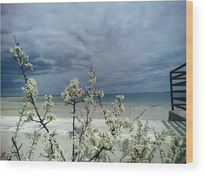 Ocean Wood Print featuring the photograph Ocean Spring by Robert Nickologianis