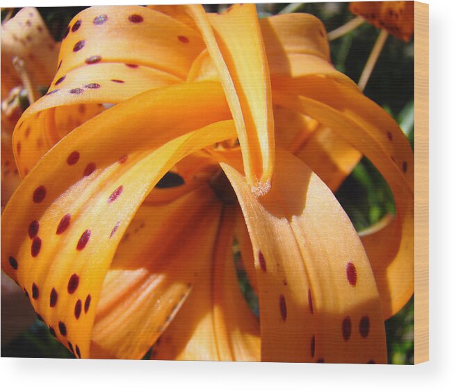 Lilies Wood Print featuring the photograph OFFICE ART Floral Artwork Orange Tiger Lily Baslee Troutman by Patti Baslee