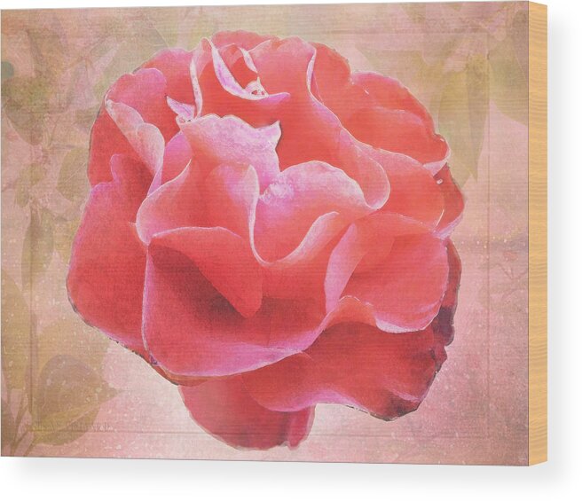Susan Vineyard Wood Print featuring the photograph Old Rose by Susan Vineyard