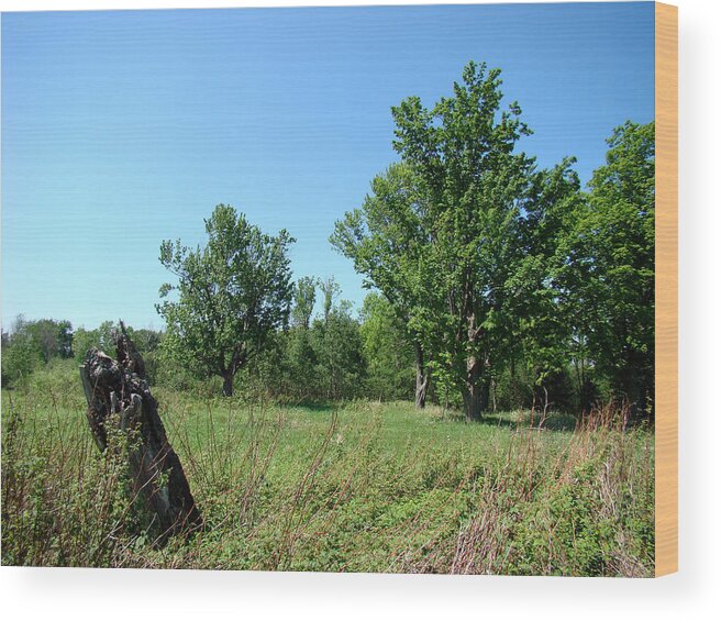 Landscape Wood Print featuring the photograph Old Stump by Todd Zabel