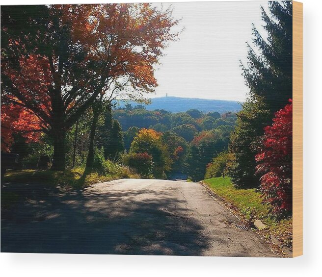 Autumn Wood Print featuring the photograph One Mountaintop to Another by Dani McEvoy