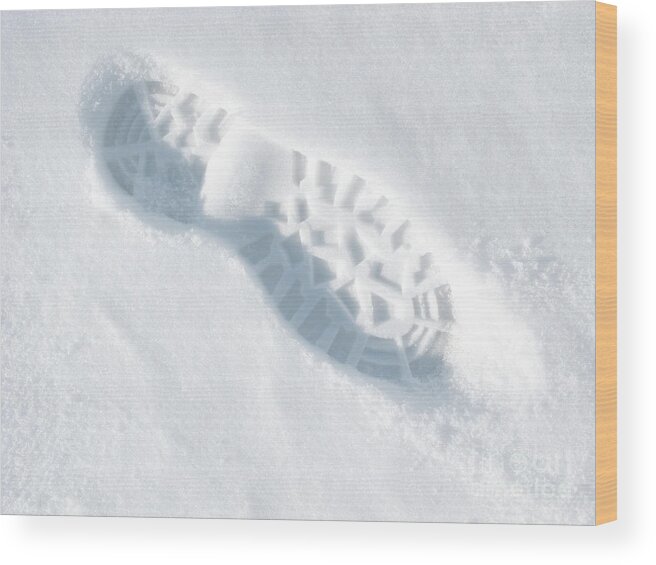 Snow Wood Print featuring the photograph One Step at a Time by Ann Horn