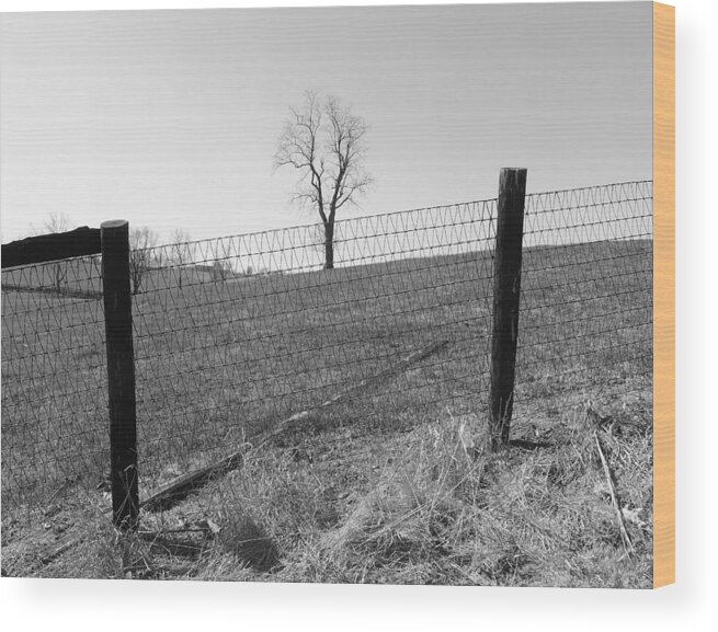Kentucky Wood Print featuring the photograph Open Land by Christopher Brown