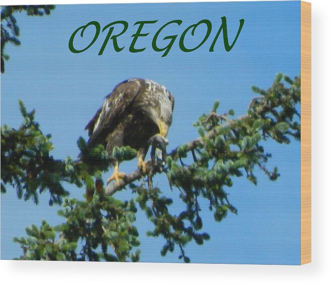 Eagles Wood Print featuring the photograph Oregon Eagle with Bird by Gallery Of Hope 
