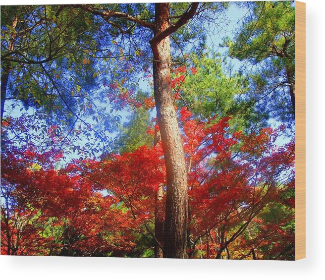 Trees Wood Print featuring the photograph Overwhelmed by Roberto Alamino