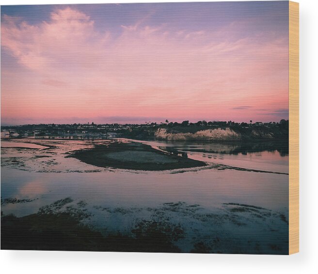 Pale Wood Print featuring the photograph Pale Pink Serenity by Pamela Newcomb