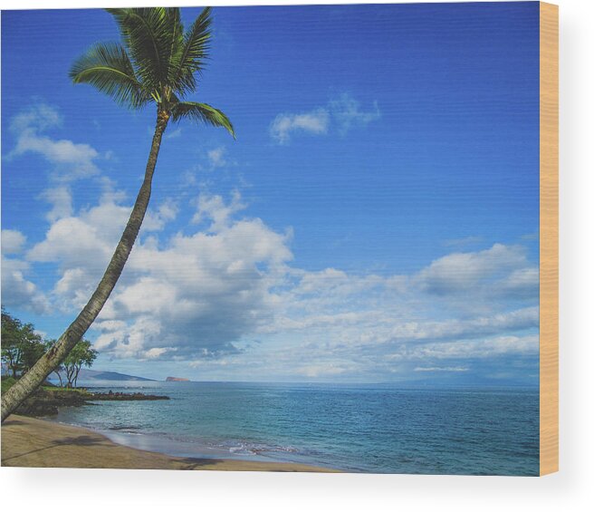 Beach Wood Print featuring the photograph Palm Tree in Paradise by Andy Konieczny