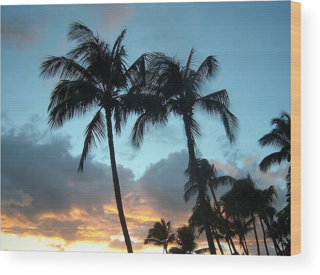 Trees Wood Print featuring the photograph Palm Trees at Sunset by Charles HALL
