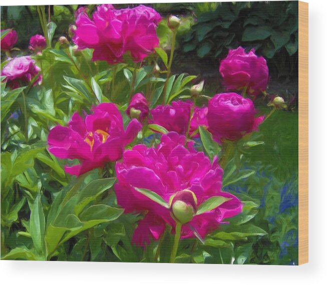 Peonies Wood Print featuring the painting Pam's Perfect Peonies by Liz Evensen