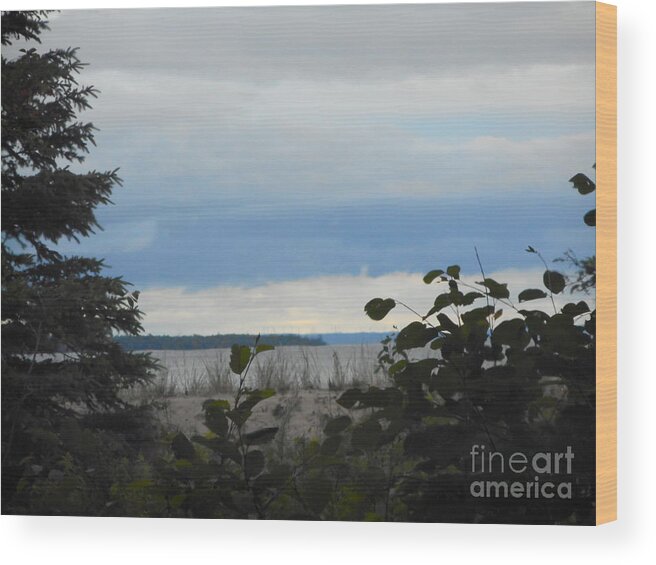 Lake Superior Wood Print featuring the photograph Pancake Bay by Wild Rose Studio