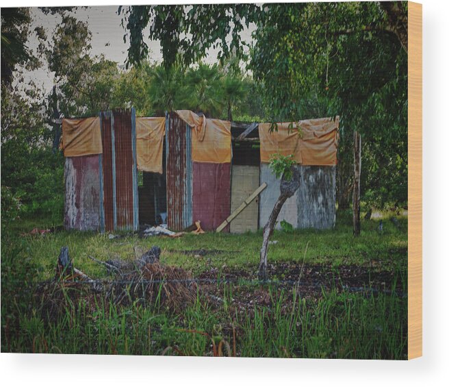 Makeshift Wood Print featuring the photograph Panel House by Jessica Levant