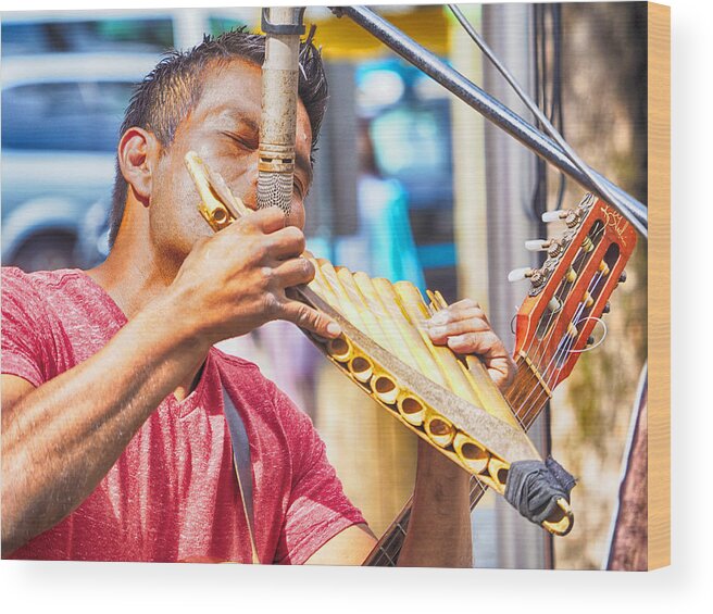 Panflute Wood Print featuring the photograph Panflute Busker 2 by C H Apperson
