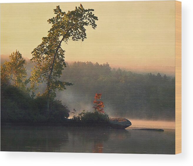 Parker Morning Wood Print featuring the photograph Parker Morning by Joy Nichols