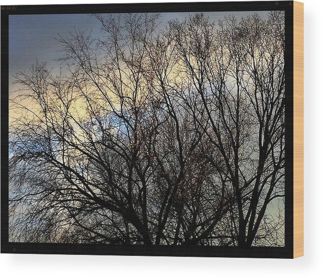 Fankjcasella Wood Print featuring the photograph Patterns In The Sky by Frank J Casella